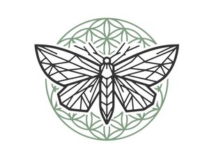 moth